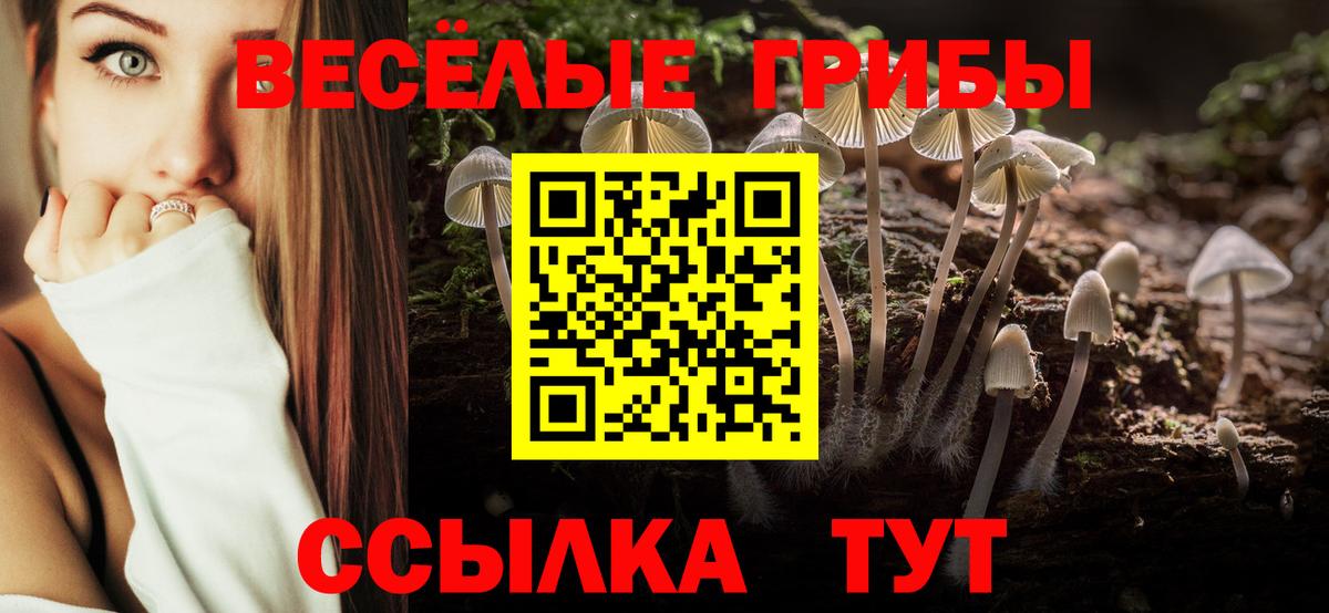 Псилоцибиновые грибы Magic Shrooms Пугачёв