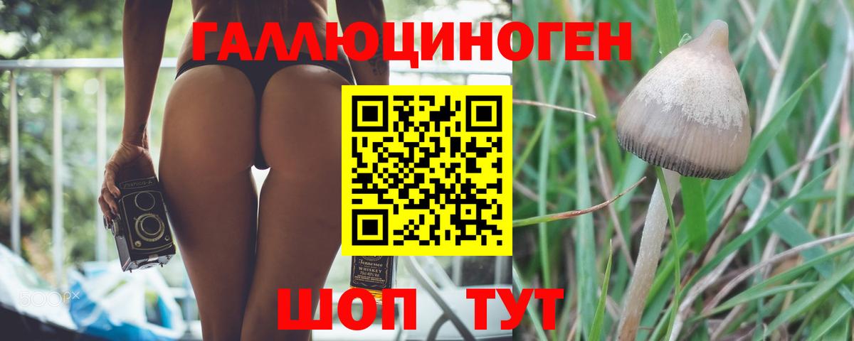 Пугачёв  Псилоцибиновые грибы GOLDEN TEACHER  Вход с VPN 
